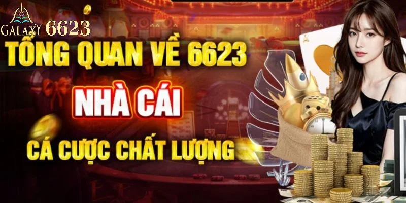 web-6623-tong-quan