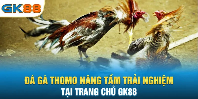 da-ga-thomo-nang-tam-trai-nghiem-tai-trang-chu-gk88